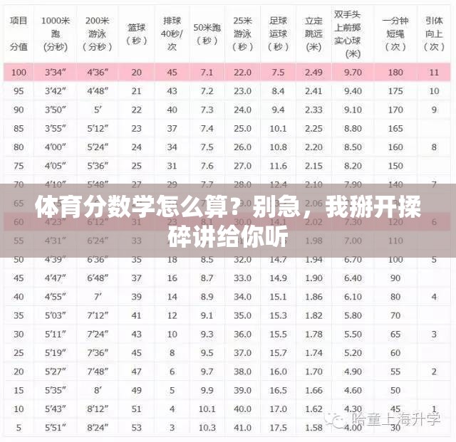 体育分数学怎么算？别急，我掰开揉碎讲给你听