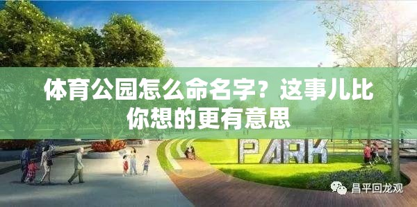 体育公园怎么命名字？这事儿比你想的更有意思